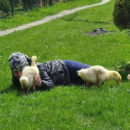 U Wanka Appartamento *