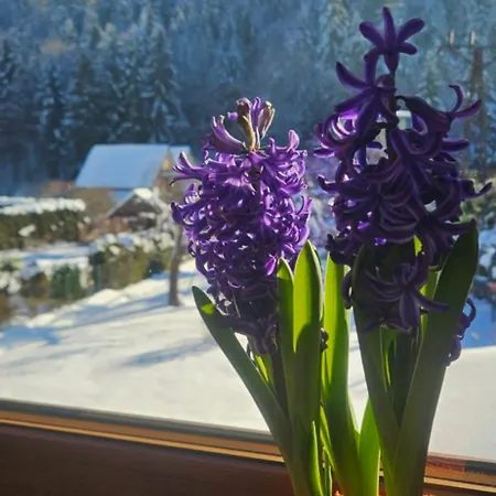 U Wanka Appartamento Wisła