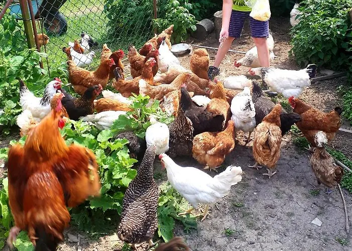 Lejlighed U Wanka Wisła